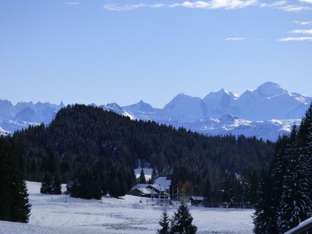 Apartmán Le Genepi Taninges Exteriér fotografie